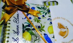 IMAGEN DE 300.2 300x180