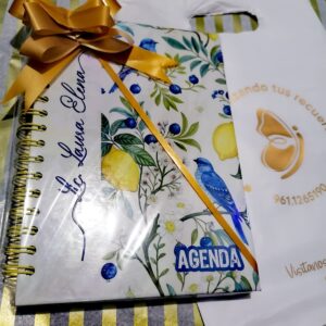 agenda personalizada para profecionistas